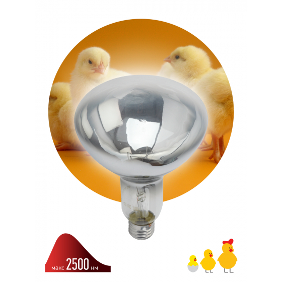 Инфракрасная лампа ИКЗ 220-250 R127 E27 ЭРА