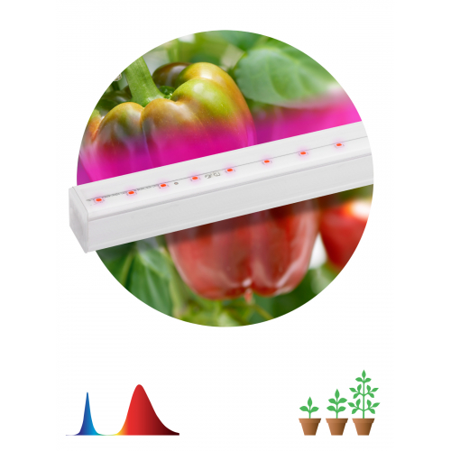 Линейный LED светильник для растений ЭРА PROM FITO-16W-Т5-N красно-синего спектра