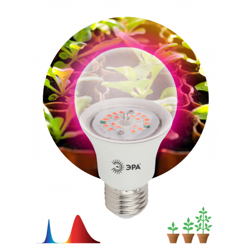 Лампа красно-синего спектра FITO-14W-RB-E27-K ЭРА