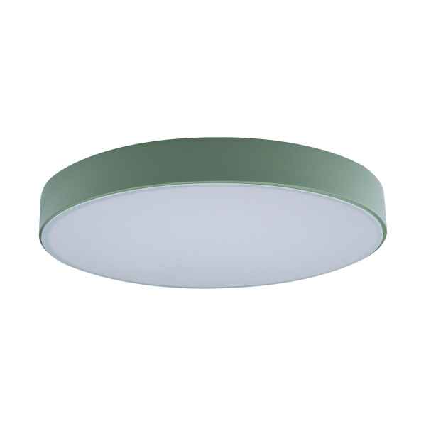 Потолочный светодиодный светильник Loft IT Axel 10002/24 green 24W 4000K