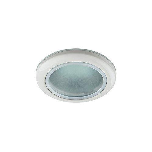 Светильник ЭРА WR1 WH  влагозащищенный MR16 12V/220V 50W белый