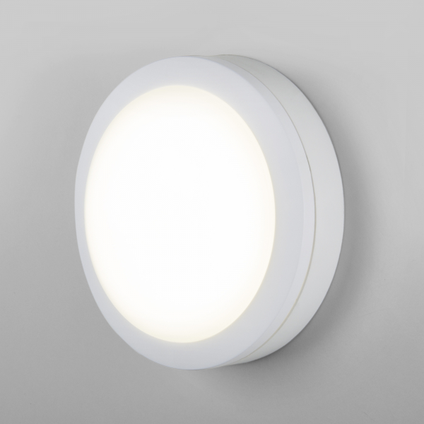 Пылевлагозащищенный светодиодный светильник Elektrostandard LTB51 LED 15W 6500К IP65 белый