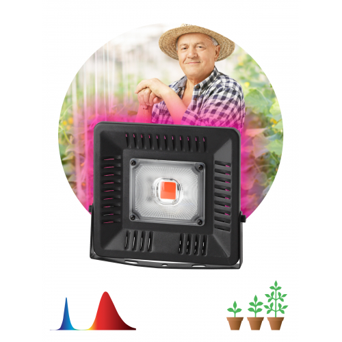 Прожектор красно-синего спектра ЭРА FITO-50W-LED BLUERED
